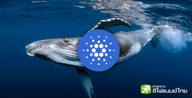 Cardano Network Sees Massive .5 Billion Transaction Volume Surge Amid Green ADA Price Gains